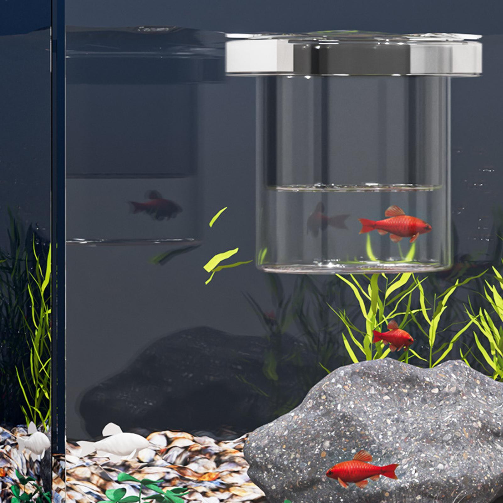 Pływający pojemnik do hodowli  – Aquarium Fish Betta recenzja i cena