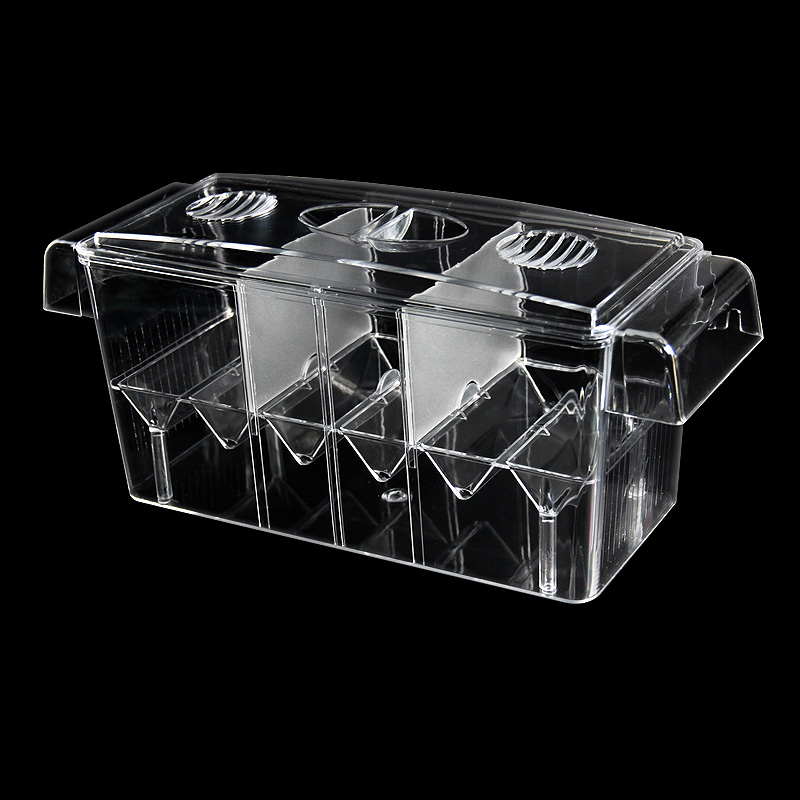 Przezroczyste pudełko izolacyj – Betta Fish Tank recenzja i cena