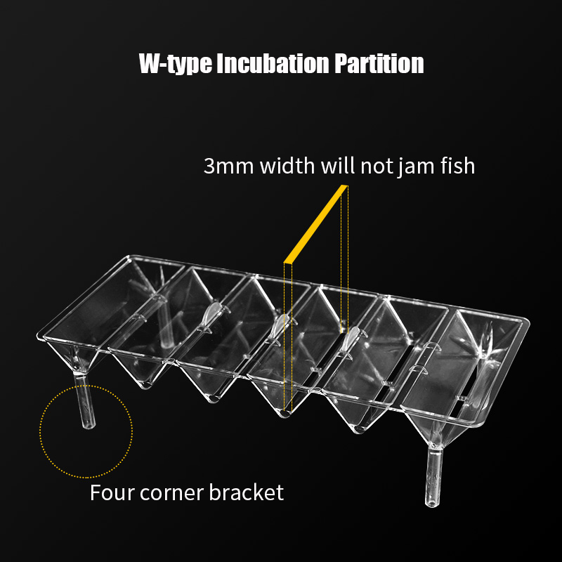 Przezroczyste pudełko izolacyj – Betta Fish Tank recenzja i cena