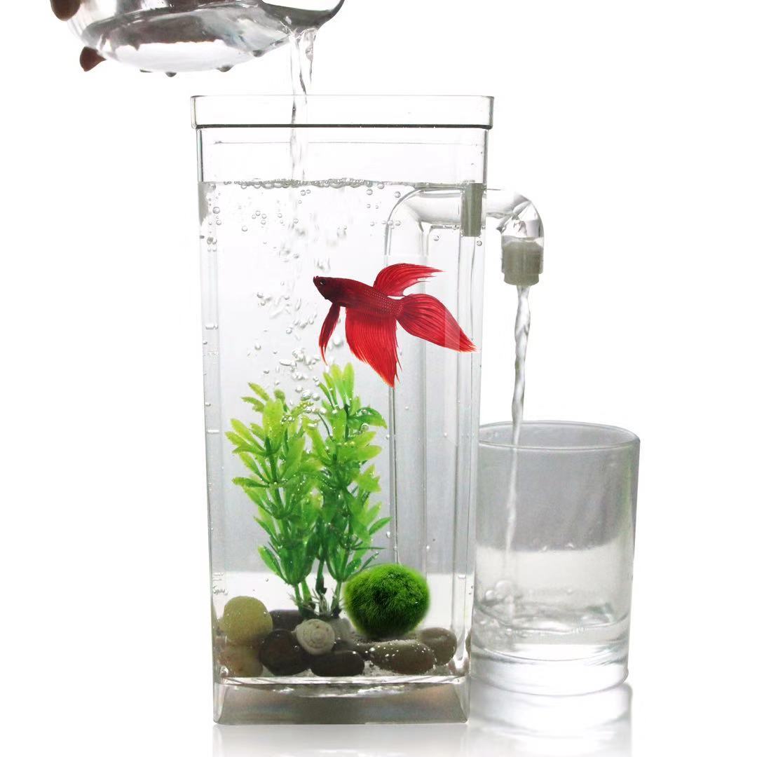 Leniwy bezpłatny zbiornik na r – Betta Fish Tank recenzja i cena