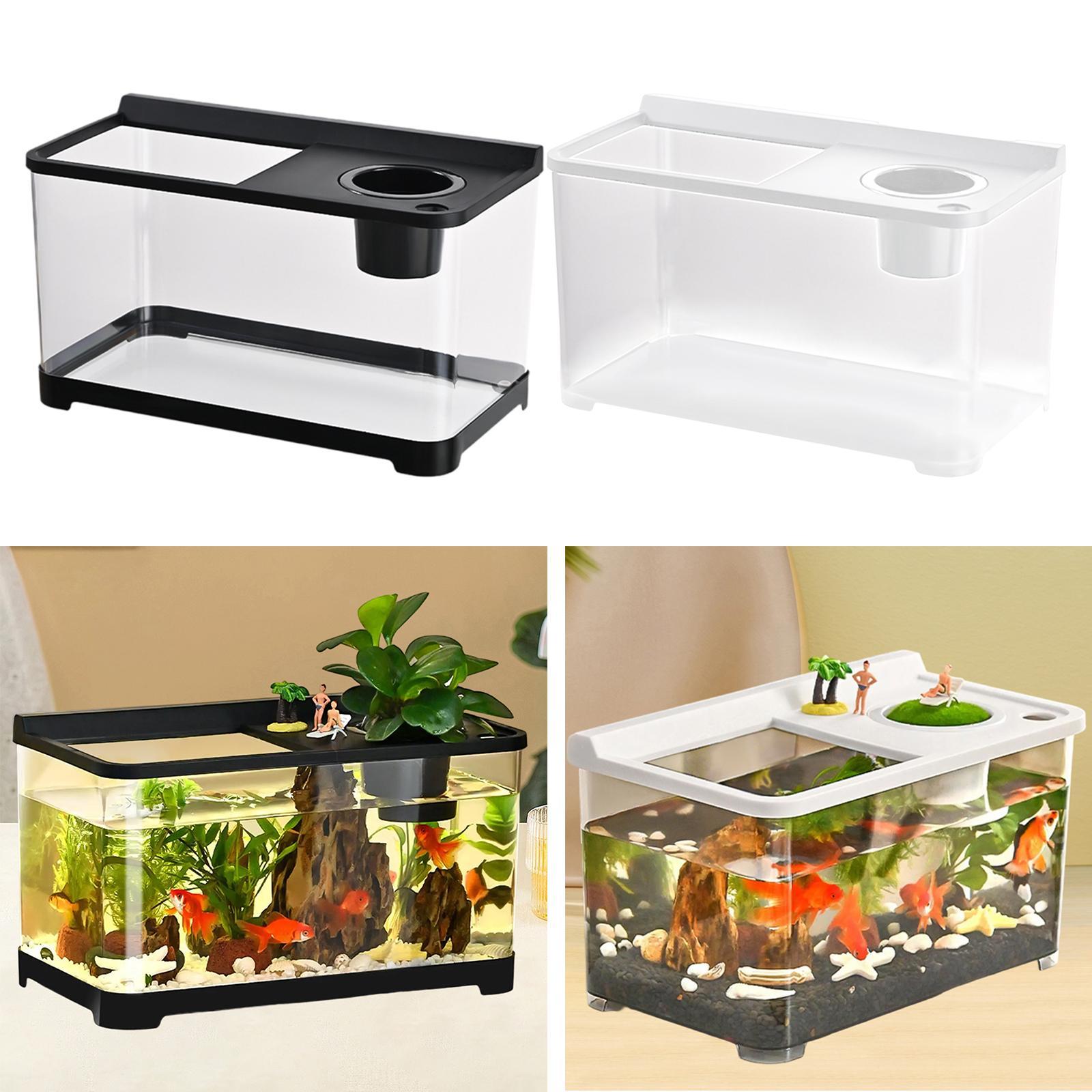 Akwarium dla ryb Betta 34x21x2 – Betta Fish Tank recenzja i cena