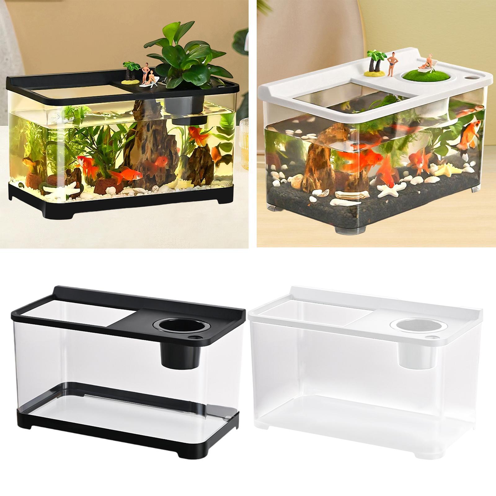 Akwarium dla ryb Betta 34x21x2 – Betta Fish Tank recenzja i cena