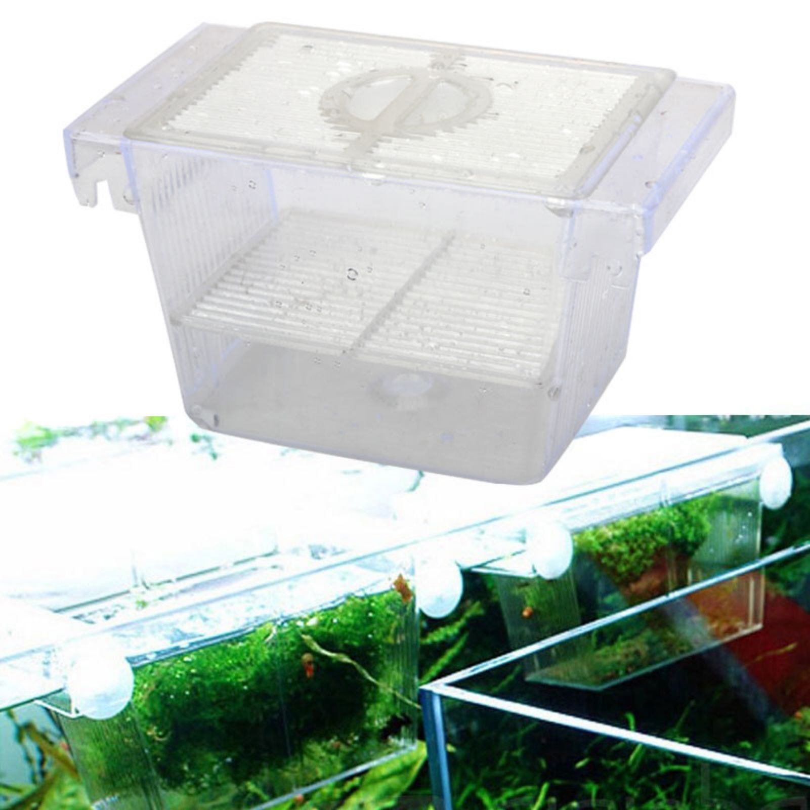 Pudełko do hodowli ryb w akwar – Betta Fish Tank recenzja i cena