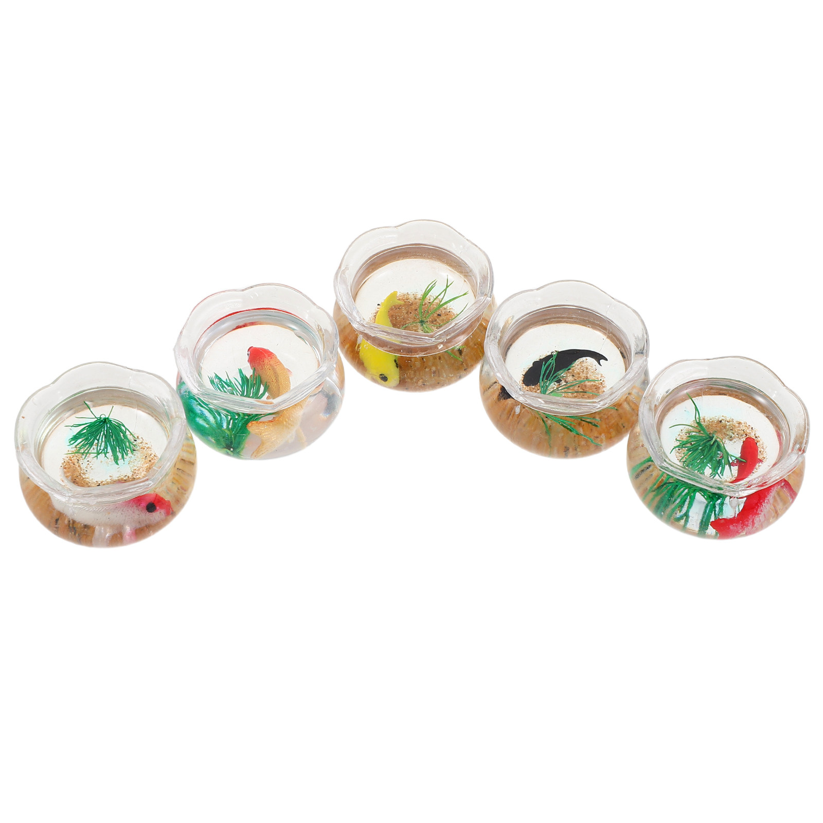 5 szt. Mini miska na ryby, rea – Aquarium Plants recenzja i cena